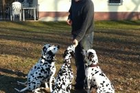 Abby vom Hause Fiedanu „Abby“