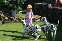 Abby vom Hause Fiedanu „Abby“