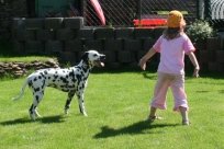 Abby vom Hause Fiedanu „Abby“